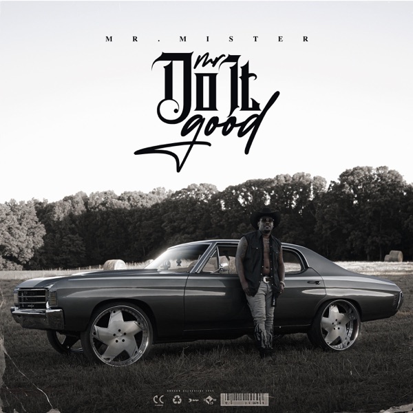 Mr. Do It Good (Radio Edit) - Single album cover