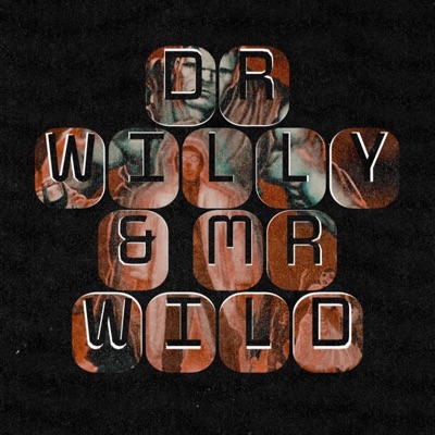 Dr. Willy & Mr. Wild (feat. Pich) - Single