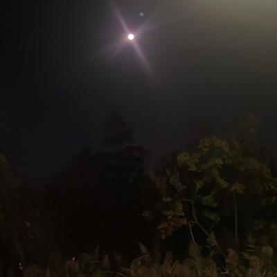 Ballout (feat. Brxxy) - Single