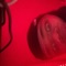 LilQ - ihatelilq lyrics