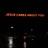 Opps (feat. Gavin Santi)