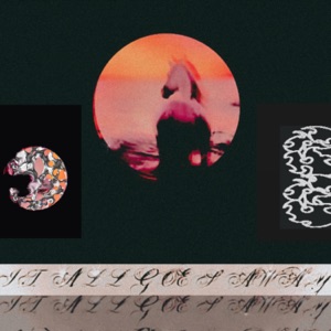 Something Shimmering at the Bottom