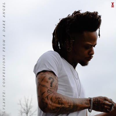 Confessions from a Dark Angel