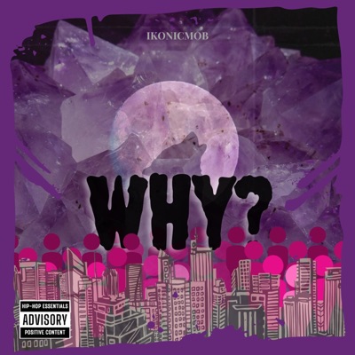 Why (feat. MR. PRIVATE, Kim Marley & Derrickey Steeby) - Single