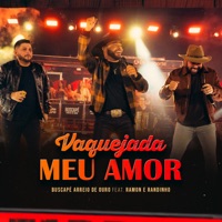 Vaquejada Meu Amor (Ao Vivo) - Single - Arreio de Ouro & Ramon e Randinho