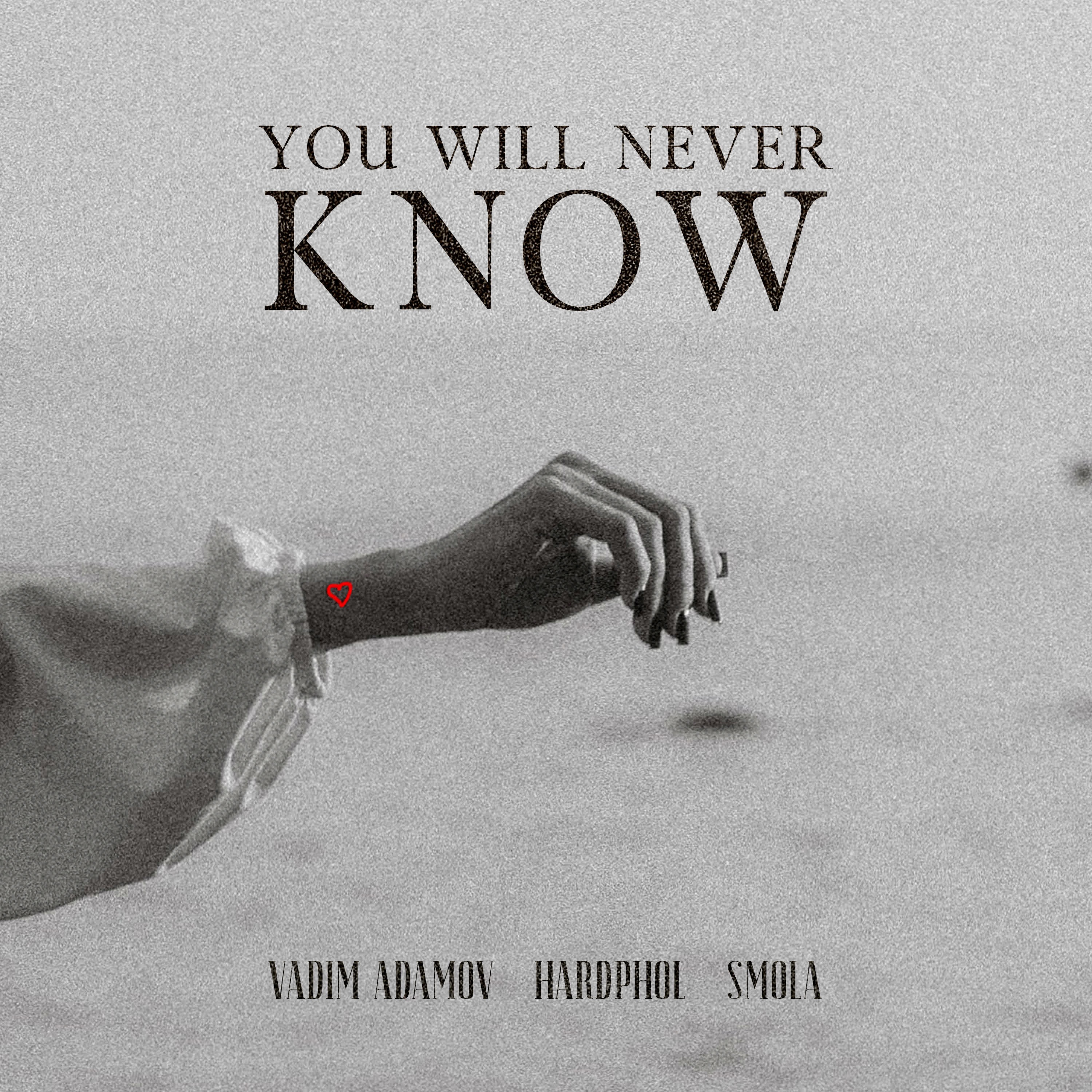 You Will Never Know - Vadim Adamov, Hardphol & SMOLA