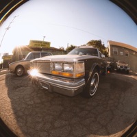 RIDIN CLEAN/LOST YOU - Single - Trippymane