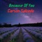 Wind of an Angel - Carson Salcedo lyrics