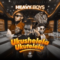 Ukushelela ukutelela (feat. Coop Ticker & B Quan Phamaika) - Single - Heavy boys