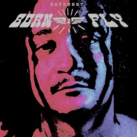 Born 2 Fly - Dutchboy