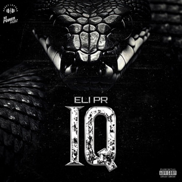 IQ