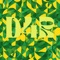 D4r - Jeara lyrics