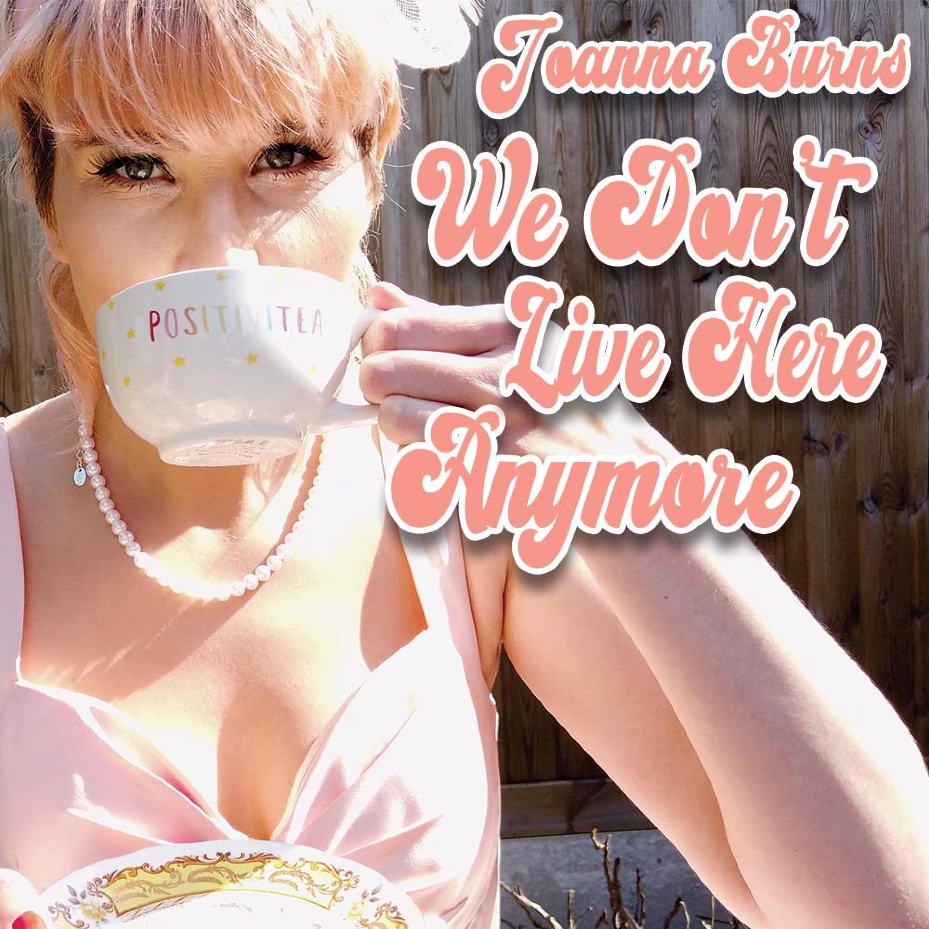 We Don't live Here Anymore - Single