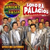 Grandes de la Fiesta - Sonora Palacios