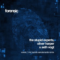 Voices - Single - Seth Vogt, Oliver Harper & The Stupid Experts