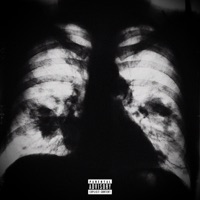 Smoke In My Lungs Is A Shield For My Heart - EP - SHESH