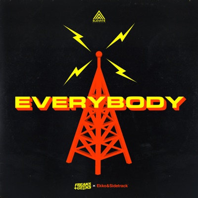 Everybody - Single