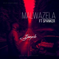 Ijampile (feat. Spliff Entertainment & Spanker) - Single - Malwazela