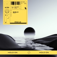 Hold On - Single - Pinkus