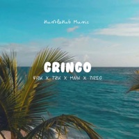 GRINGO (feat. TZK, MNK & TRIG) - Single - FRK