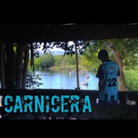 Carnicería - Single - VillaReMe