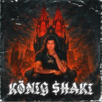 König $haki - Single - FGUN $HAKI