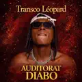  - Auditorat Diabo