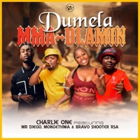 Dumela Mma Dlamini (feat. Mr Diego, Mokgethwa & Bravo shooter RSA) - Single - Charlie one SA