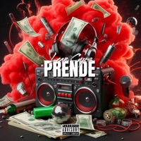 Prende - Single - Lean Cups