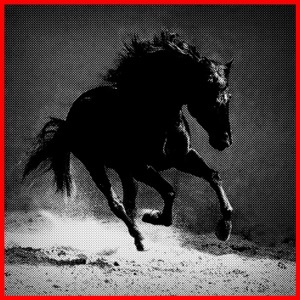 Deixa Meu Cavalo Andar (feat. Mc Rodson)