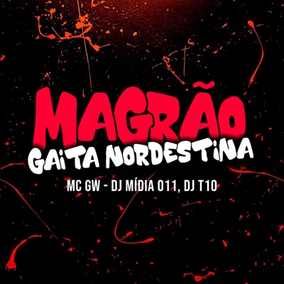 Magrão Gaita Nordestina - Single