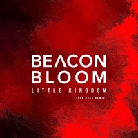 Little Kingdom (Remix) - Single - Beacon Bloom & Jack Dusk