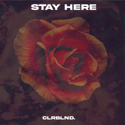 Stay Here - Single