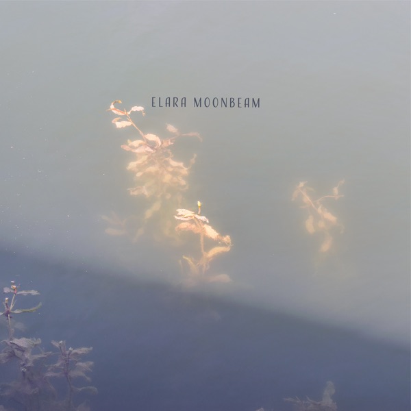 Submerged in Soft Knowing