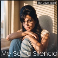 Me Sé Tu Silencio - Single - The Velvet Label