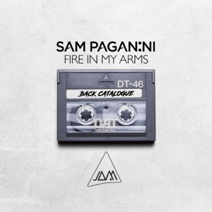 Fire in My Arms by Sam Paganini cover art