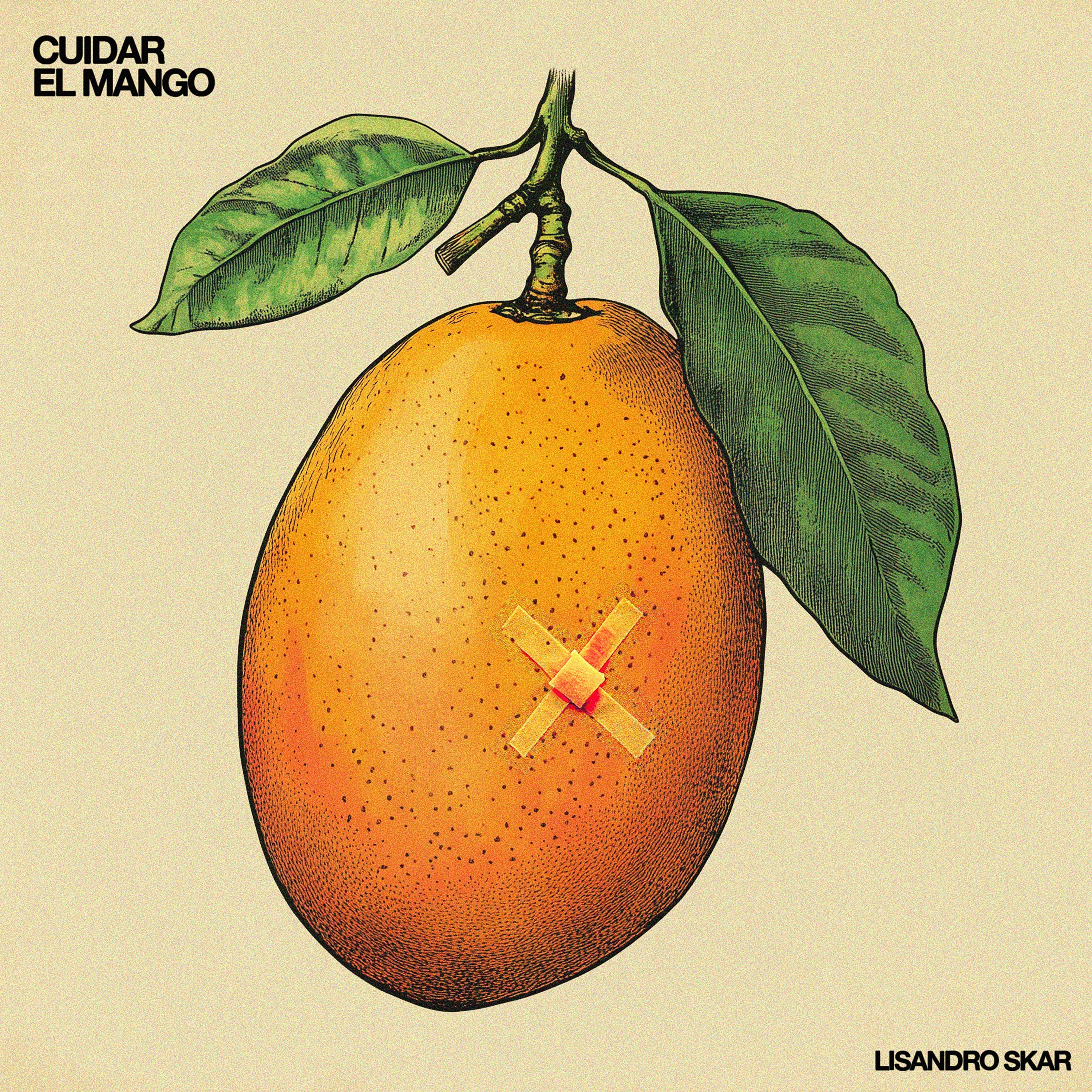 lisandro skar - cuidar el mango