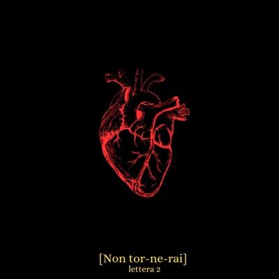 Non tornerai (Lettera 2) (feat. Lobby) - Single