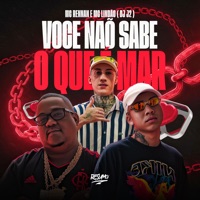 Você Não Sabe o Que É Amar - Single - Mc Lindão, Mc Rennan & DJ J2