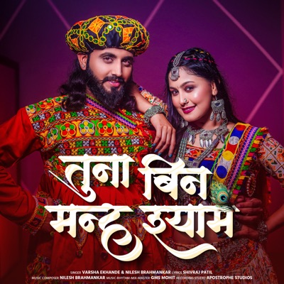 Tuna Bin Manha Shyam - Single