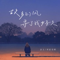 故乡的风 寻了我好久 - Single - 刘家奇阿 & 书笙
