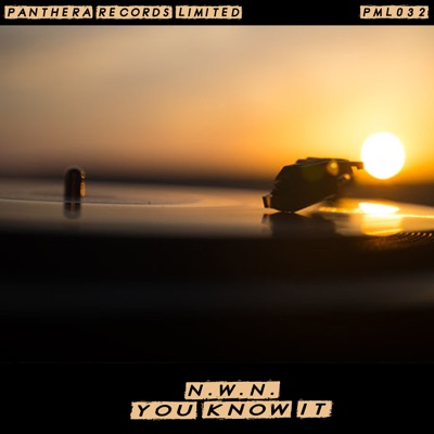 You Know it - Single