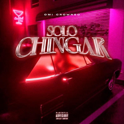 Solo Chingar - Single