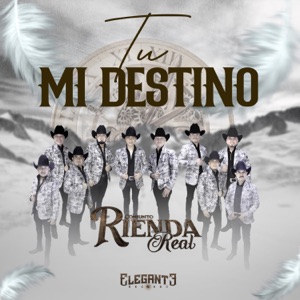 Tú Mi Destino