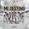 Tú Mi Destino artwork