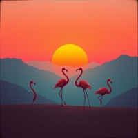 DIARIO - Single - En Tendencia Tv Show & La guarufa