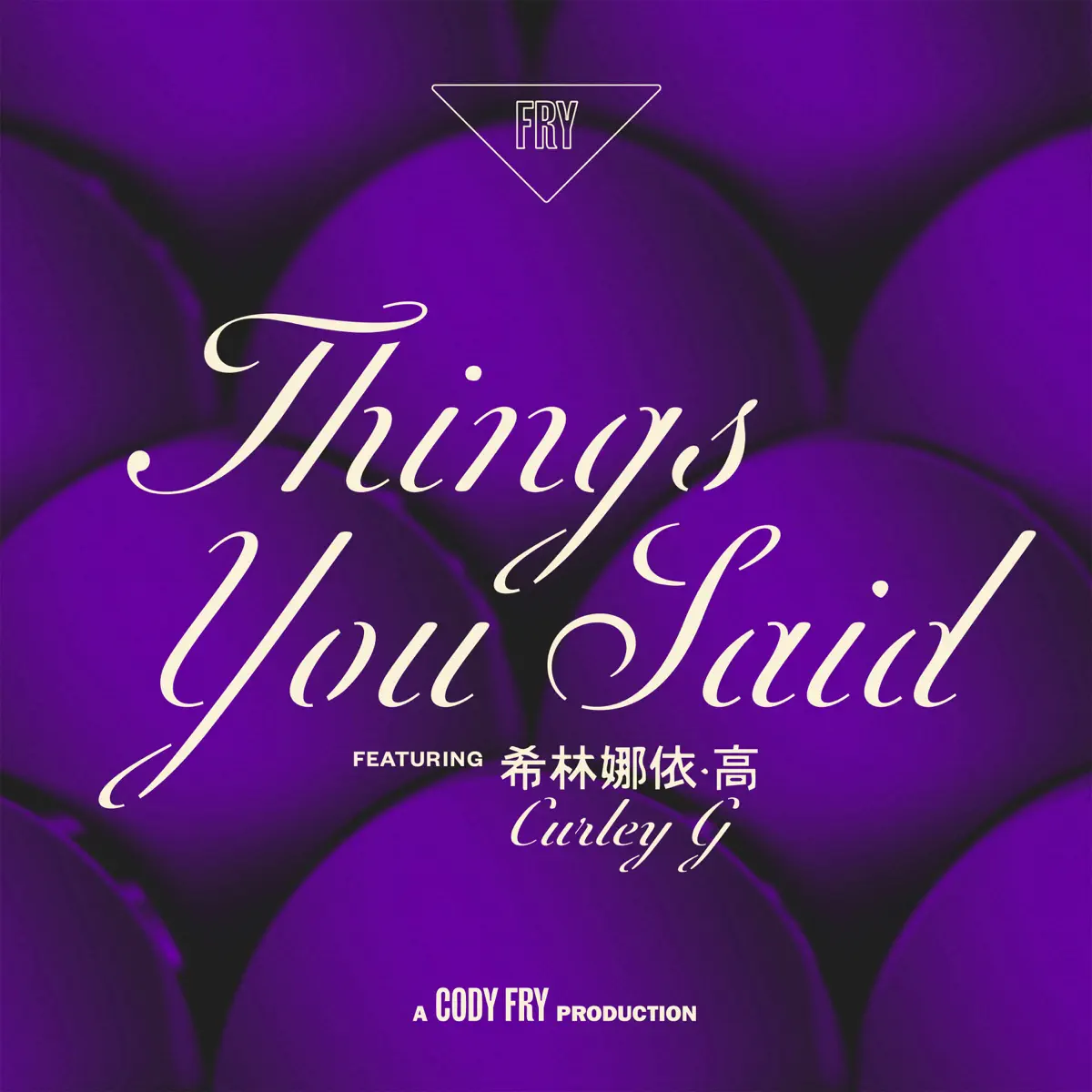 Cody Fry - Things You Said (feat. 希林娜依高) - Single (2024) [iTunes Plus AAC M4A]-新房子