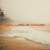 Valurile Marii