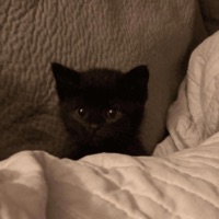 Sad (feat. Icemop) - Single - VaporGod