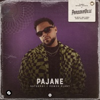 PAJANE at Parookaville 2024 (DJ Mix) - PAJANE